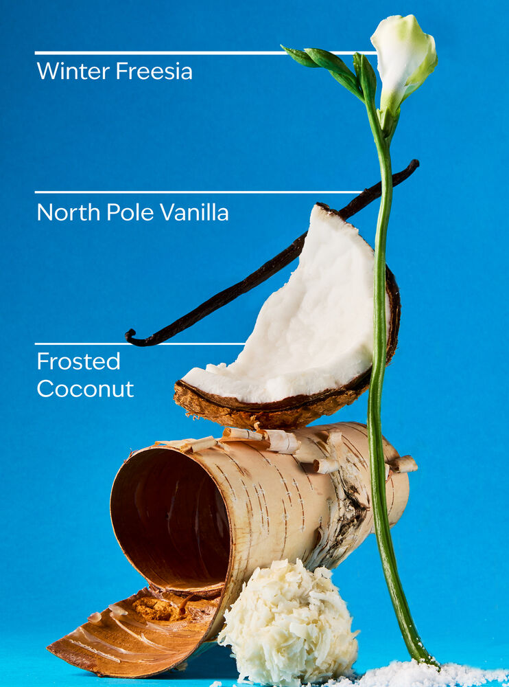 Frosted Coconut Snowball Travel Size Fine Fragrance Mist Travel Size Fine Fragrance Mist
