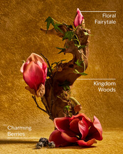 Life's a Fairytale Gentle & Clean Foaming Hand Soap image number null