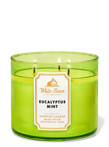 Eucalyptus Mint 3-Wick Candle 3-Wick Candle