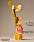 Sunshine and Lemons Hand Cleanser image number null