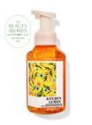 Kitchen Lemon Gentle & Clean Foaming Hand Soap image number null
