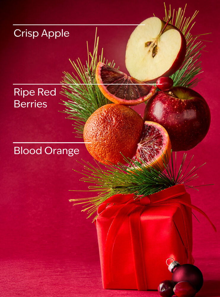 Bright Christmas Morning Car Fragrance Refill Car Fragrance Refill