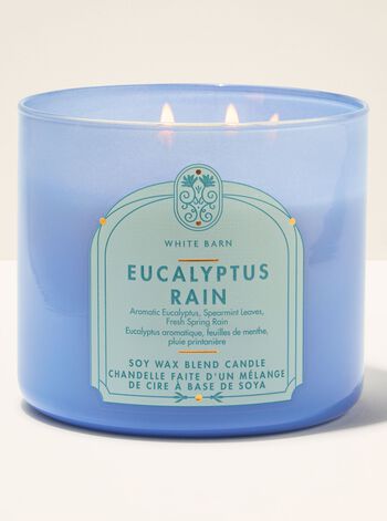 Eucalyptus Rain 3-Wick Candle 3-Wick Candle