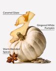 White Pumpkin Wallflowers Fragrance Refill image number null