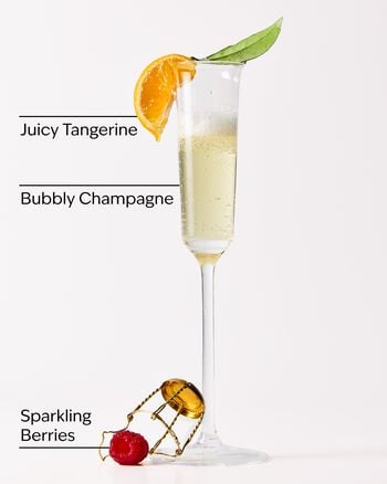 Champagne Toast Gentle & Clean Foaming Refill Gentle & Clean Foaming Refill