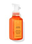 Kitchen Mandarin Gentle & Clean Foaming Hand Soap image number null
