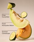 Cucumber Melon Body Lotion image number null