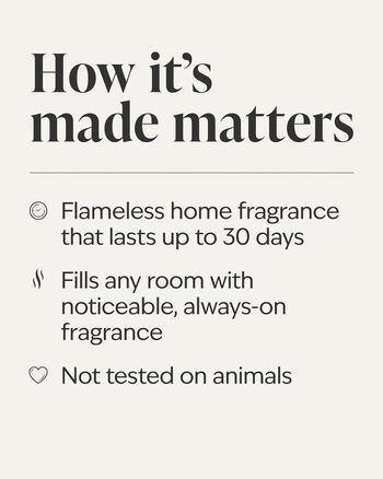 Champagne Apple & Honey Wallflowers Fragrance Refill Wallflowers Fragrance Refill