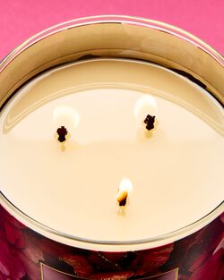 Covered In Roses 3-Wick Candle image number null