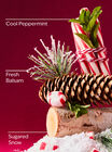Twisted Peppermint Daily Nourishing Body Lotion image number null