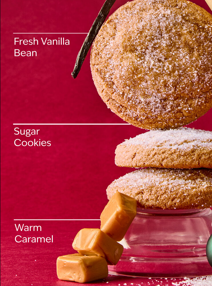 Vanilla Bean Noel Bath Fizzy Bath Fizzy