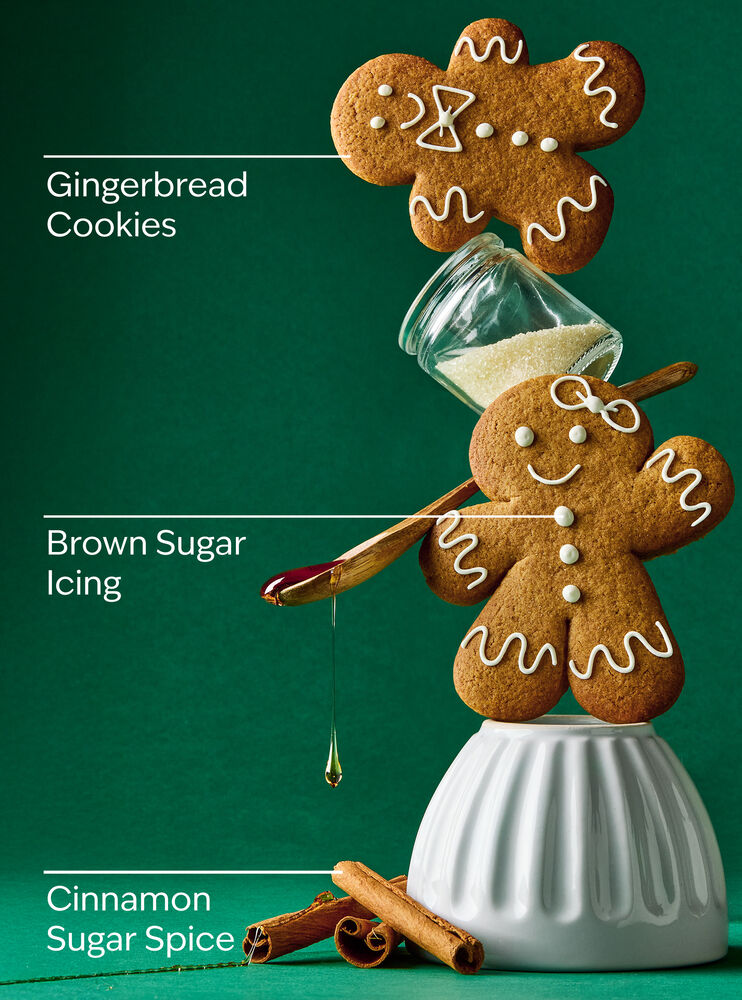 Gingerbread Bakery Gentle & Clean Foaming Hand Soap Gentle & Clean Foaming Hand Soap