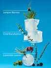 Frozen Lake Single Wick Candle image number null
