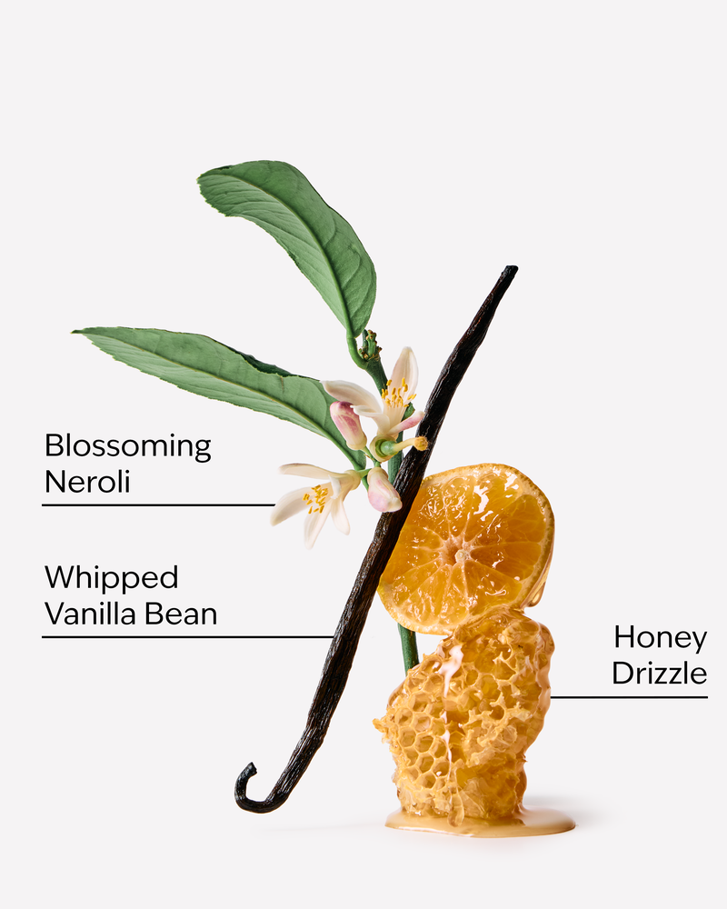 Whipped Honey & Vanilla 3-Wick Candle 3-Wick Candle