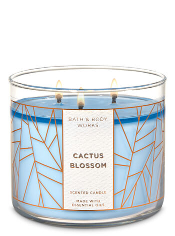 Cactus Blossom 3-Wick Candle 3-Wick Candle