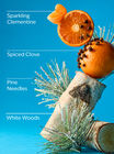 Winter Signature Single Wick Candle image number null