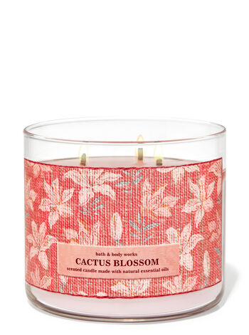Cactus Blossom 3-Wick Candle 3-Wick Candle