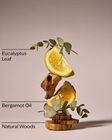 Eucalyptus & Bergamot Revitalizing Gel Hand Soap image number null