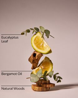 Eucalyptus & Bergamot Revitalizing Gel Hand Soap image number null