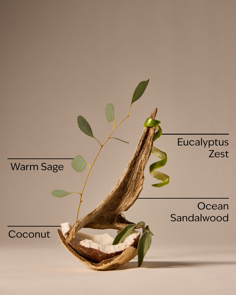 Warm Ocean Breeze 3-Wick Candle 3-Wick Candle