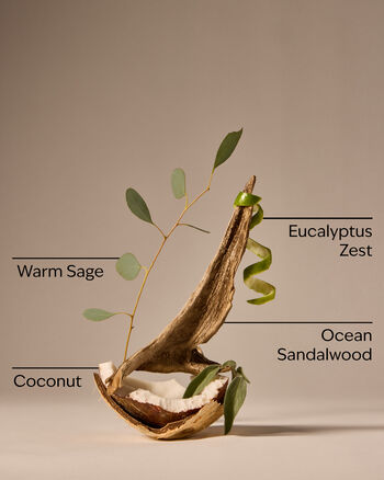 Warm Ocean Breeze 3-Wick Candle 3-Wick Candle