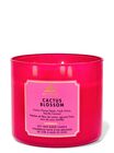 Cactus Blossom 3-Wick Candle image number null