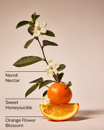 Backyard Honeysuckle Gentle & Clean Foaming Hand Soap Gentle & Clean Foaming Hand Soap