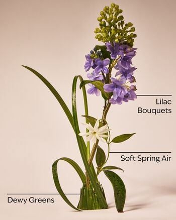 Fresh Cut Lilacs Cleansing Gel Hand Soap Cleansing Gel Hand Soap
