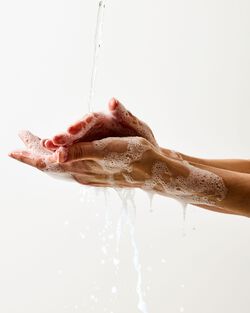 Champagne Apple & Honey Gentle & Clean Foaming Hand Soap image number null