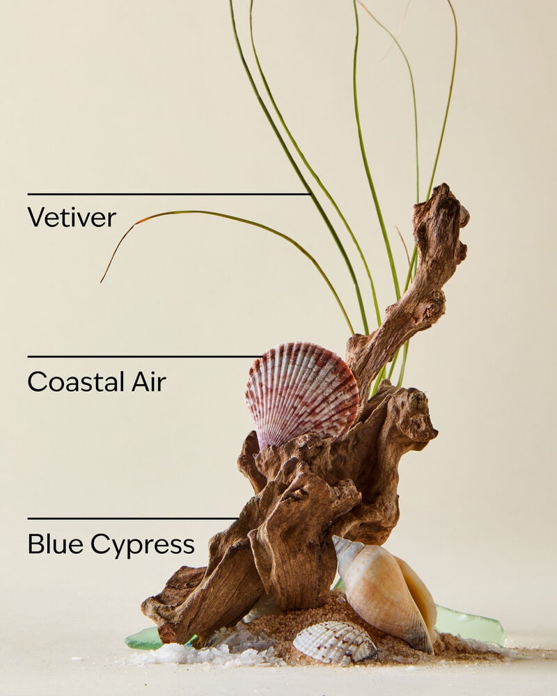 Ocean Travel Size Cologne Mist Travel Size Cologne Mist