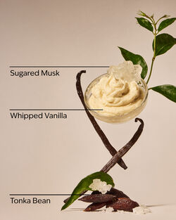 Wild Vanilla Travel Size Fine Fragrance Mist