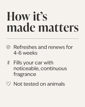 Eucalyptus Spearmint Car Fragrance Refill Car Fragrance Refill