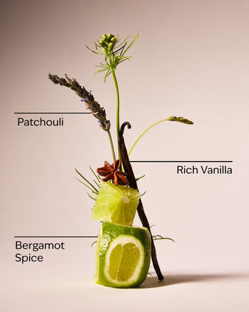 Vanilla Noir 3-in-1 Hair, Face & Body Wash 3-in-1 Hair, Face & Body Wash