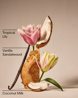 Eau De Coconut Ultimate Hydration Body Cream image number null