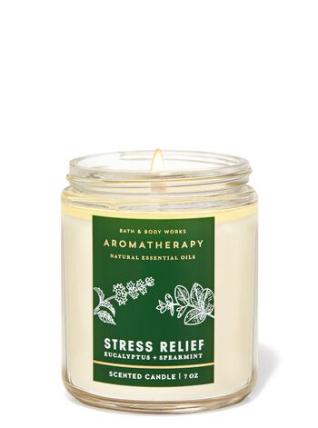 Eucalyptus Spearmint Single Wick Candle Single Wick Candle