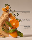 Kitchen Mandarin Gentle & Clean Foaming Hand Soap image number null