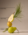 Crisp Morning AirCleansing Hand Spray image number null