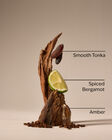 After Dark Gift Box Set image number null