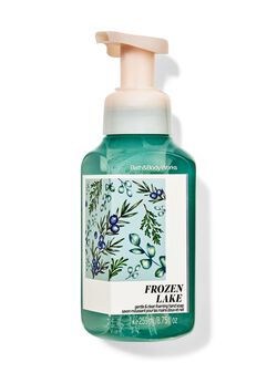 Frozen Lake Gentle & Clean Foaming Hand Soap