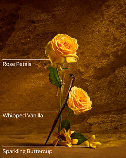 Belle 3-Wick Candle image number null