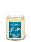 Eucalyptus Tea Single Wick Candle image number null