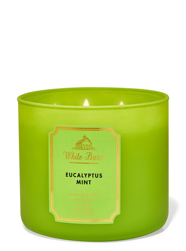 Eucalyptus Mint 3-Wick Candle 3-Wick Candle