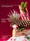 Twisted Peppermint Travel Size Body Cream image number null