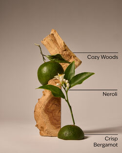 Book Loft Wallflowers Fragrance Refill image number null