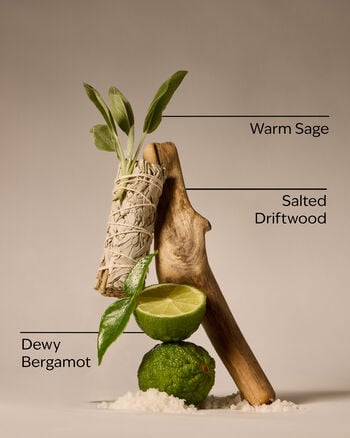 Salted Shorelines Fine Fragrance Mist Fine Fragrance Mist