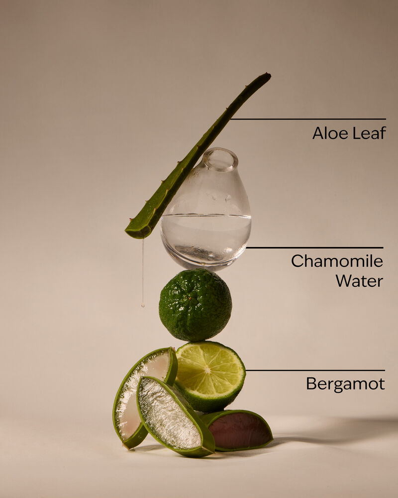 Fresh Rainfall PocketBac Hand Sanitizer PocketBac Hand Sanitizer