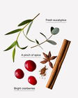 Cranberry & Eucalyptus 3-Wick Candle image number null
