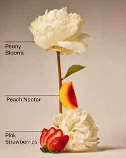 Gingham Gorgeous Fine Fragrance Mist image number null