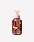 Wrapped In Spice Gentle & Clean Foaming Hand Soap image number null