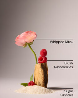 Sweetest Song Moisturizing Body Wash